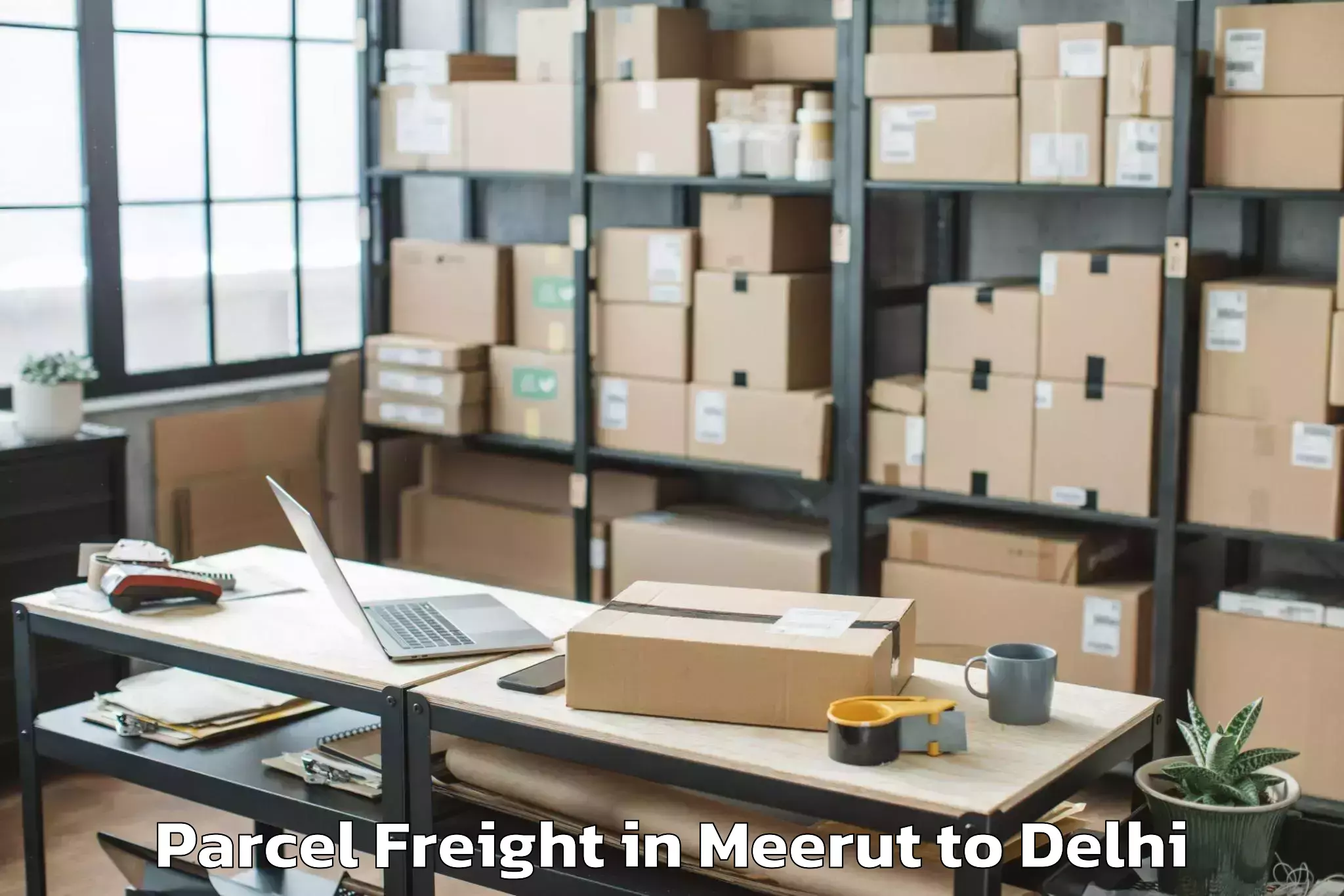 Quality Meerut to Unity One Mall Janakpuri Parcel Freight